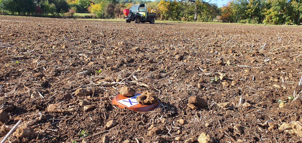 tomallenstevens's tweet photo. Plots all marked out for the #SlugResistantWheat trial now all we need are some slugs https://t.co/e6lQk8AREU