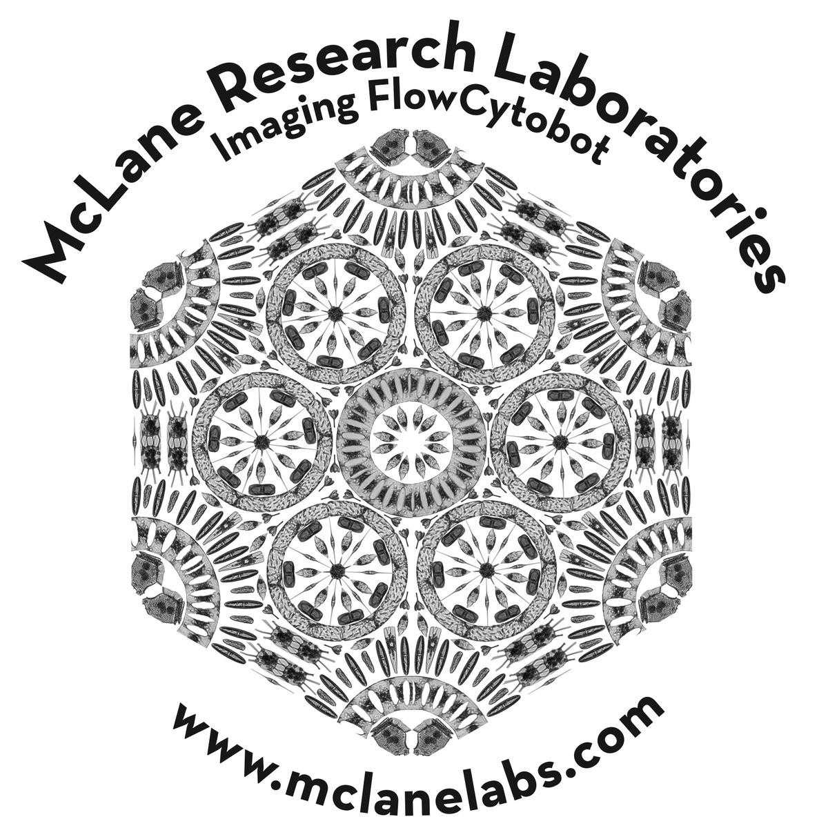 mclanelabs's tweet photo. Who likes oceanography Stickers? You might win some with our #labSwag Giveaway.  Tweet us what stickers you want to see and get an extra entry.  ENTER HERE
https://t.co/awh3qVVnnj https://t.co/uq9lWM3IX9