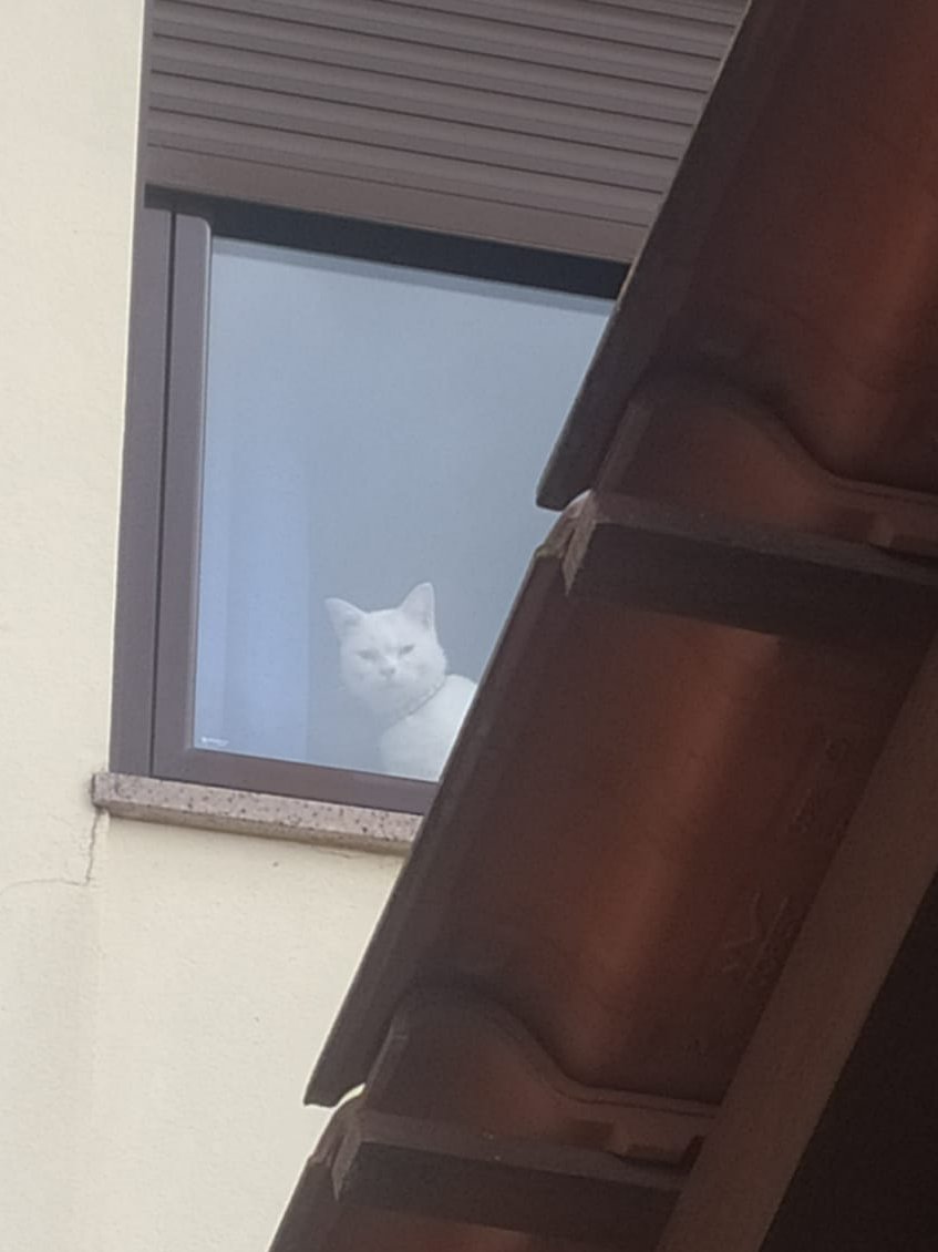 FezM9YHXEAAydeh?format=jpg&name=medium