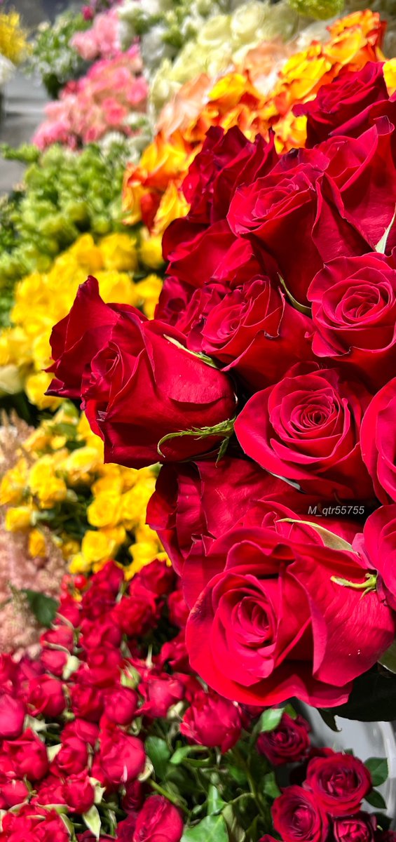 ✍️
.. 
مساء مترف بأبجدية لقاء..
يخط بوحها الأول إبتسامة..
من نحب..♥️
تجعل القلب يعانق السلام..
اولئك الذين يصافحهم قلبك..
حد رؤيتهم بأنهم الاستثناء..
الذي يجعل كل شيء ..
حولك يحتفل بهم..
مساء الخير..
لكل صوت يأتي بالابتسامة..
ولكل حرف يلتقي بنا هنا..
#هـمسآت_نآبَضهـ ❤️