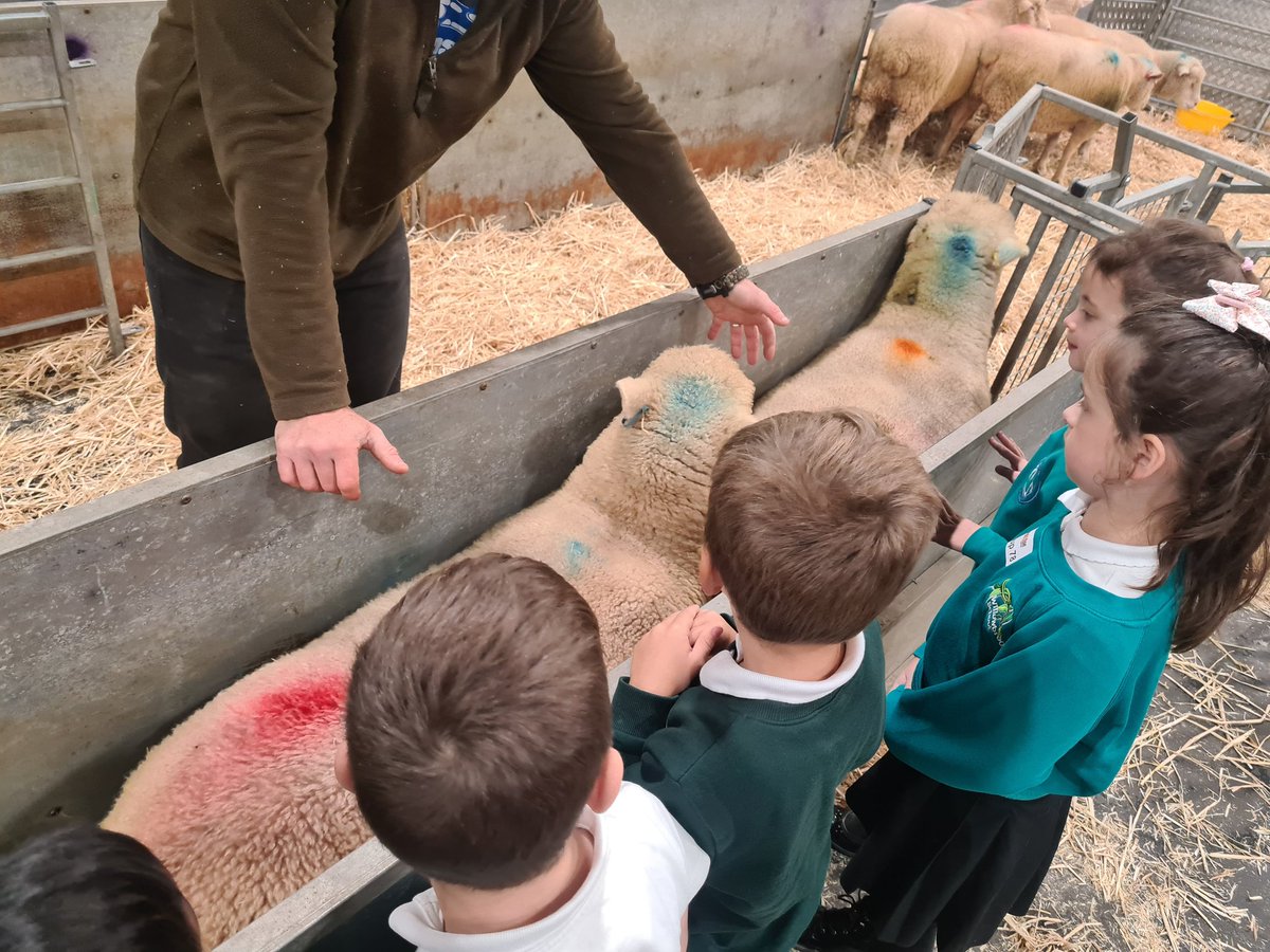 Willowbrook_Exe's tweet photo. Year 2 have had a fantastic (and very busy) day at Farmwise! It was great to learn how important farming and agriculture is in Devon. 2S particularly loved making fresh apple juice and leather keyrings! #FarmwiseDevon https://t.co/ARf6xZs69j