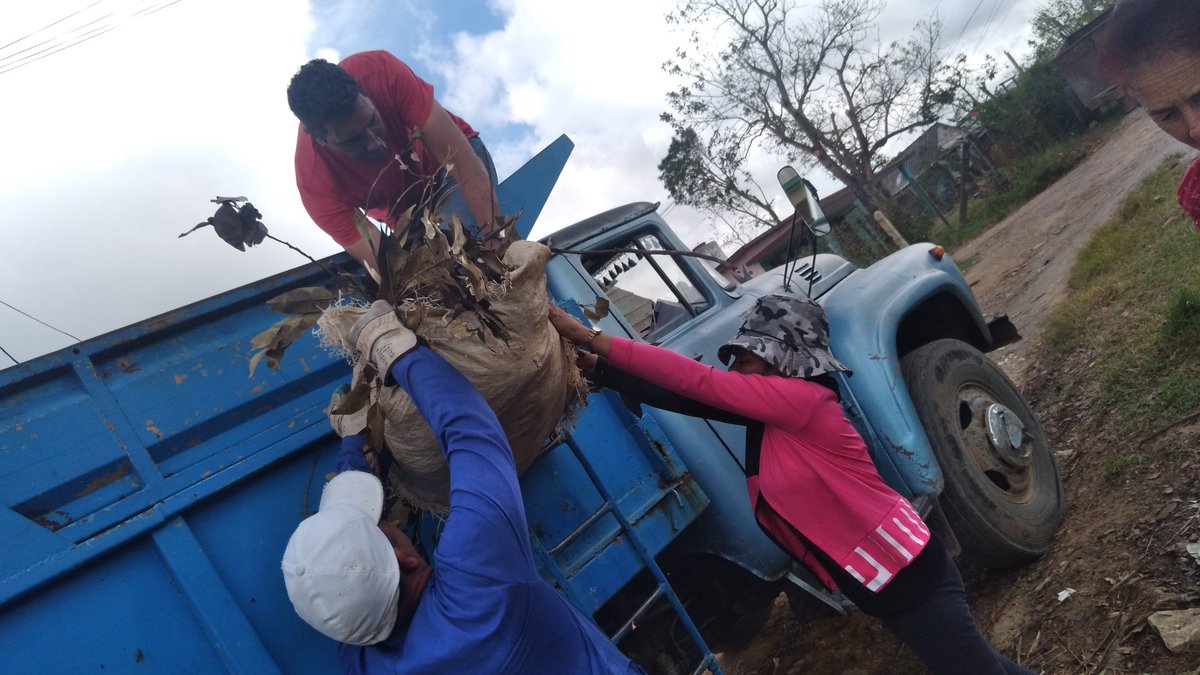 El trabajo no se detiene, un ejército de #JóvenesTransportistas, apoya las labores de recuperación en Herradura, municipio #ConsolaciónDelSur. La familia del #TransporteCuba unida por la recuperación. 
#FuerzaPinar @MitransCuba
