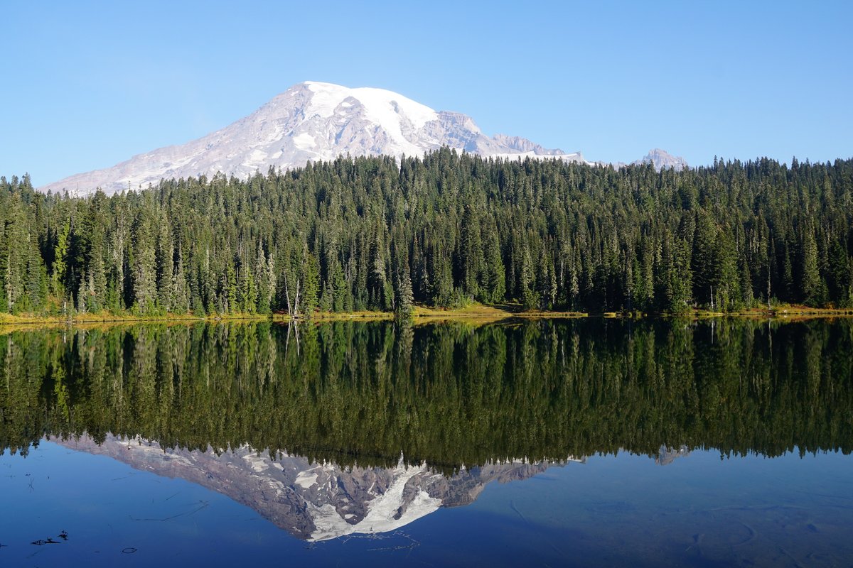 MountRainierNPS tweet media