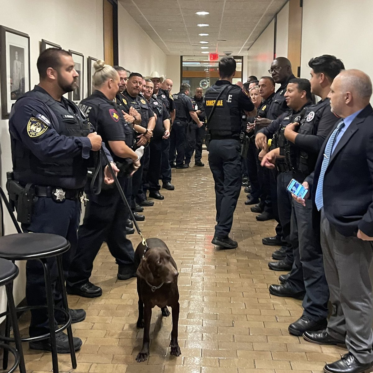 jen rice tweet media