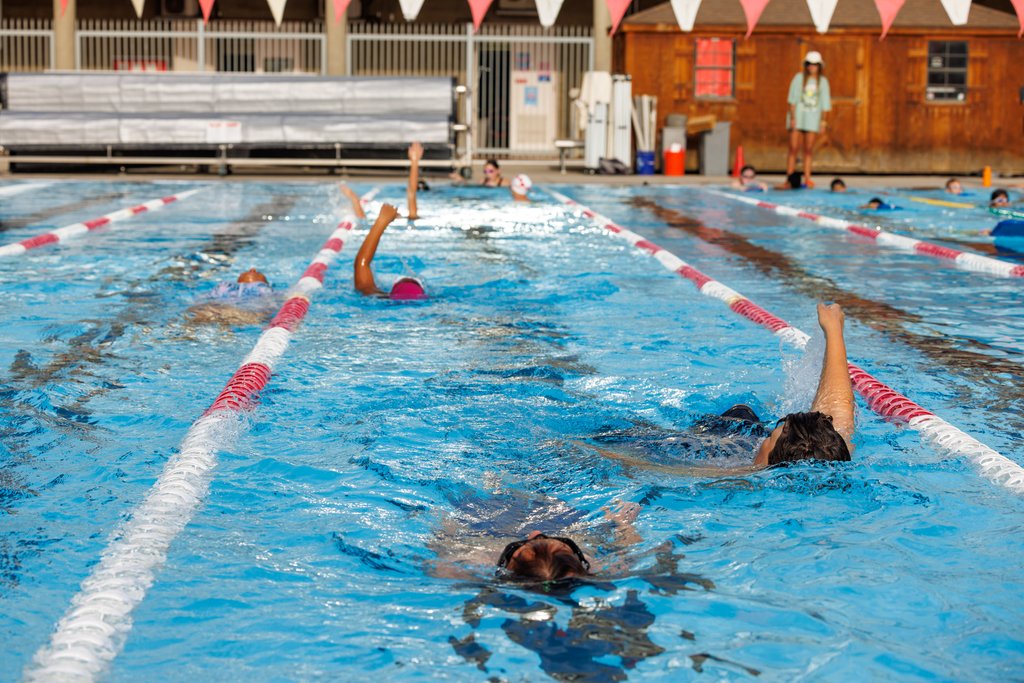 Standard Elementary tweet media