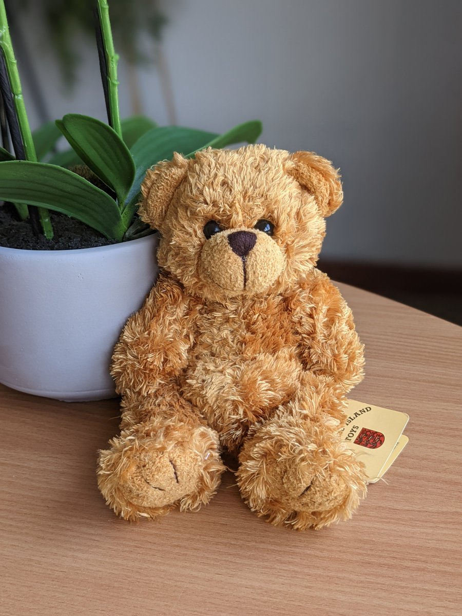 ItsADodl's tweet image. Blessing Bears new baby, soul mates, earth angel, plush teddy bears with special meaning t shirts available here -  tinyurl.com/mtjyu3ua 😊 #plushbears #teddybears #cutegifts #giftideas #softtoys #christmasgifts #specialoccasions @DaisaDesigns @MorganDaisa