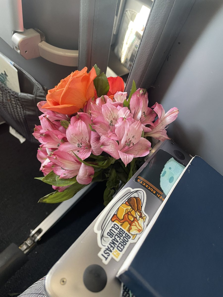 Liz Mejia tweet media