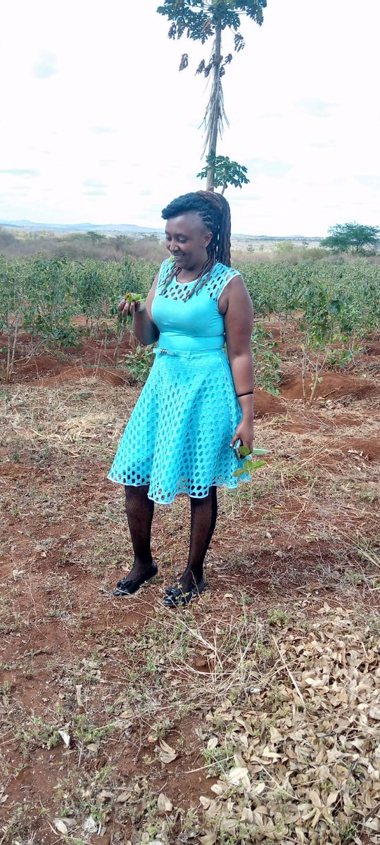 Embu county weather ni ✅✅✅✅✅