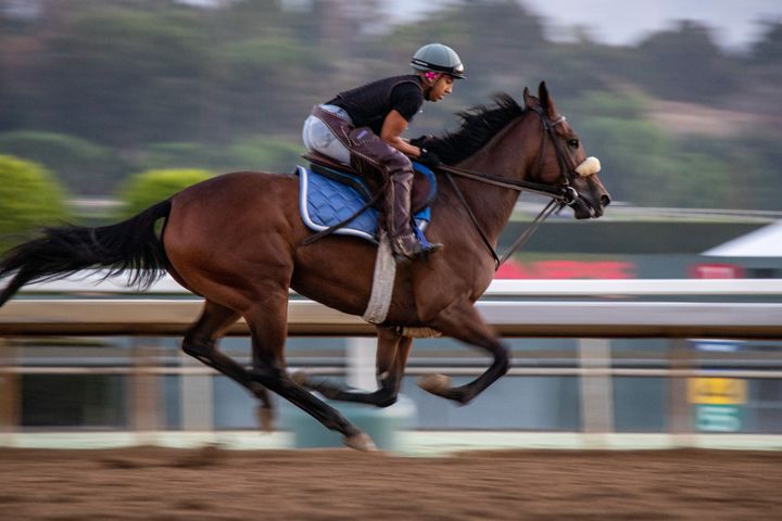 If you had to name your racehorse based on your favorite Netflix series, what would their name be? 
#SantaAnitaPark #TheGreatRacePlace @Netflix 
__
#HorseRacingFans #HorseRacing #California #Thoroughbred #Horses #FunThingsToDo #PicOfTheDay #TVShows #Movies #MorningWorkout