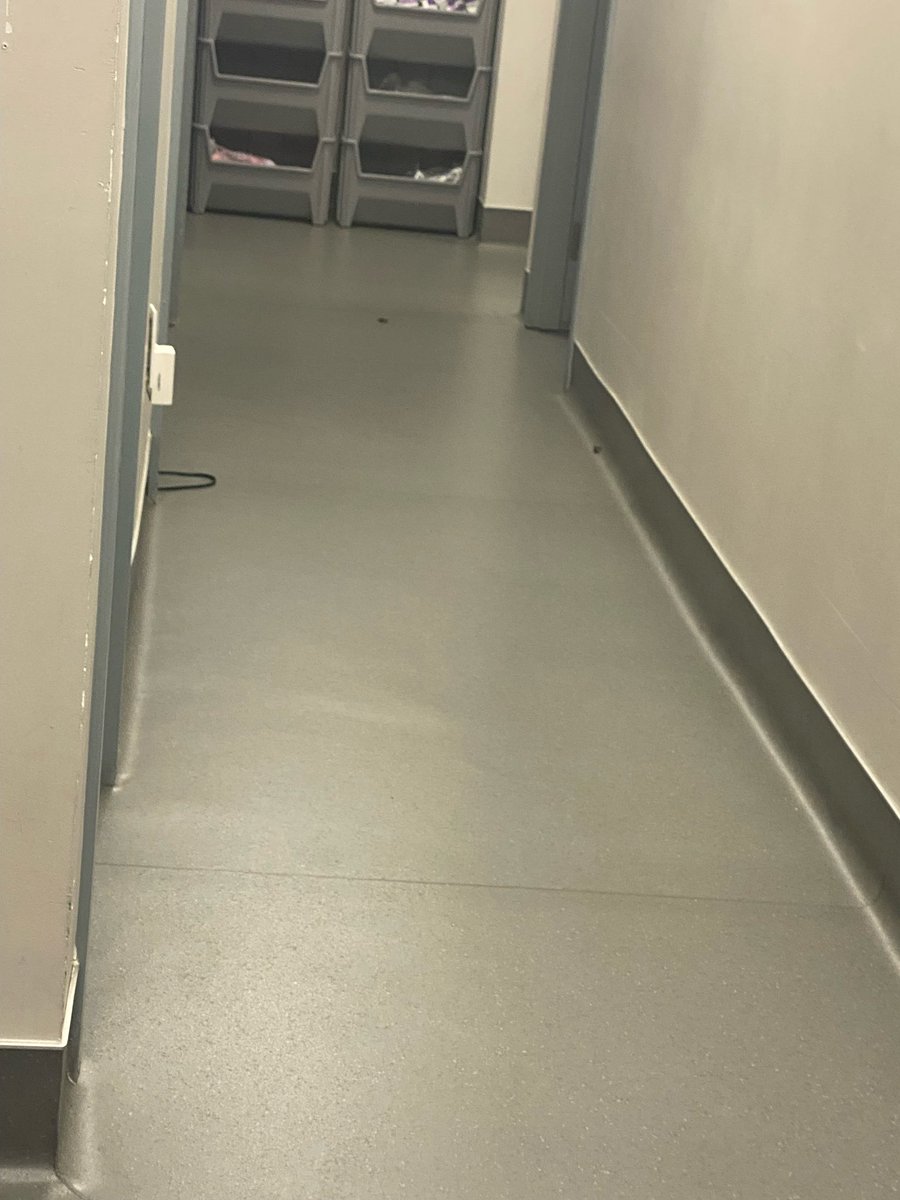 qiyonne's tweet photo. y’all be so desperate for an Ass that y’all don’t even care about the condition. This is Goals Plastic Surgery in Atlanta they infested with roaches and army ants they be crawling all around and on you during ur procedures but y’all sooGrand!😂 @TheShadeRoom  I got more dirt! https://t.co/hjQmJ6EEne