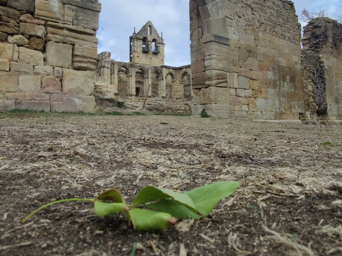 fundacionO2's tweet photo. #monasterioderioseco 
#valledemanzanedo 

Hoy hemos estado en el @SMariadeRioseco que ha recibido el premio de @HispaniaNostra de conservación del patrimonio
Donde nos han recordado la trayectoria y el camino recorrido para llegar hasta este momento

Enhorabuena!!!

#patrimonio https://t.co/ELQO5CG2tz