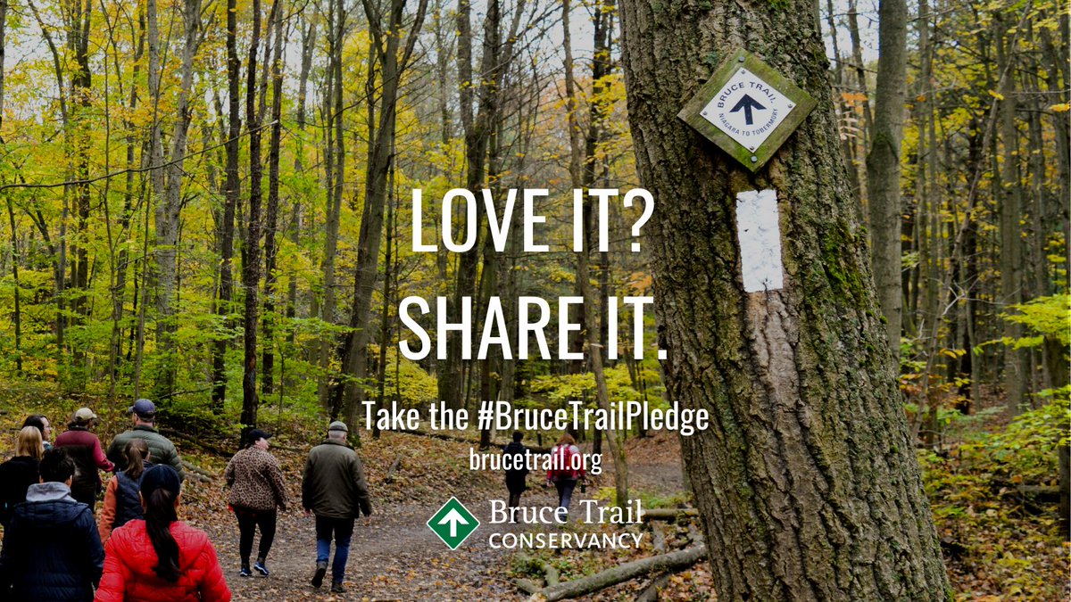 BruceTrail_BTC's tweet photo. We’re preserving a ribbon of wilderness, for everyone, forever. Help build an #inclusive outdoors and celebrate different identities and abilities on the #BruceTrail by taking the #BruceTrailPledge today. https://t.co/z0hYFdJQoH https://t.co/cfA6gMV81c