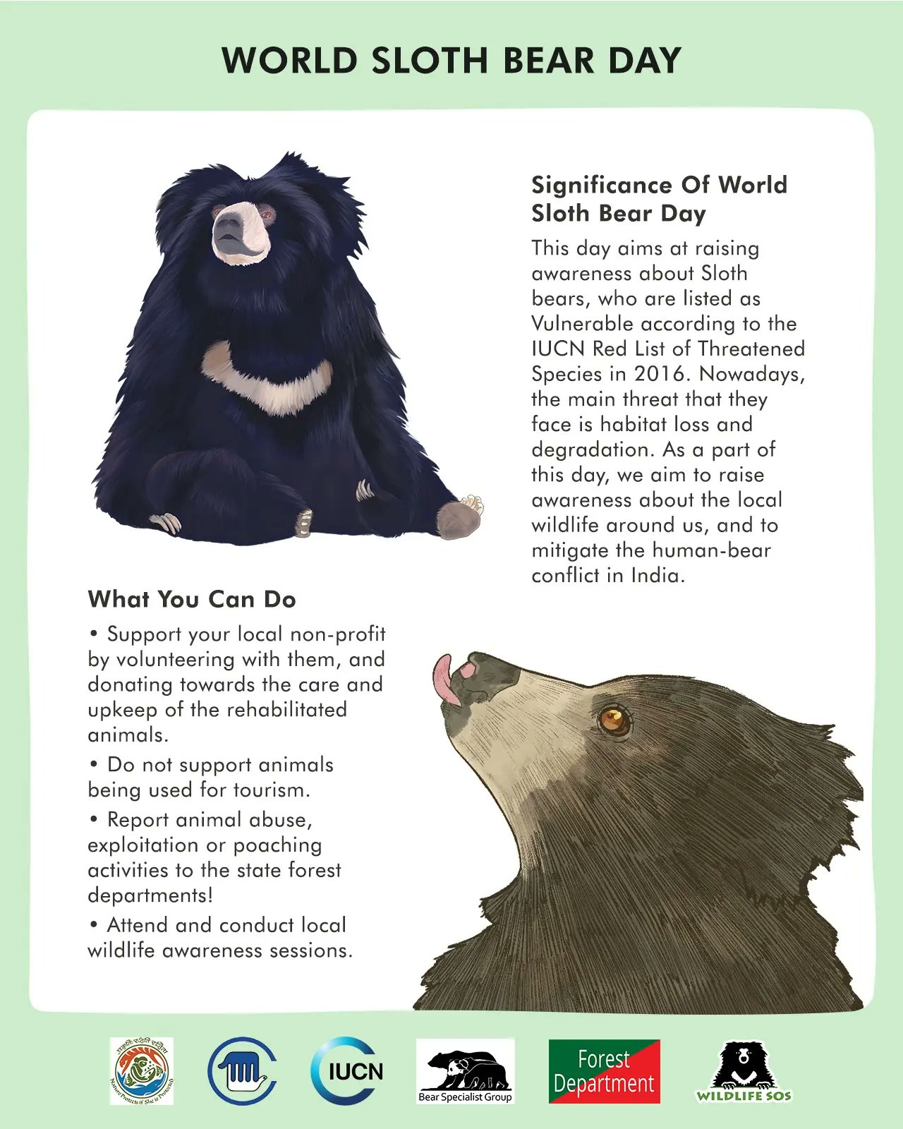 Sloth Bears Or Giant Pandas: Which Is The Most Unique Bear? - Wildlife SOS,  panda bear - somem.tn