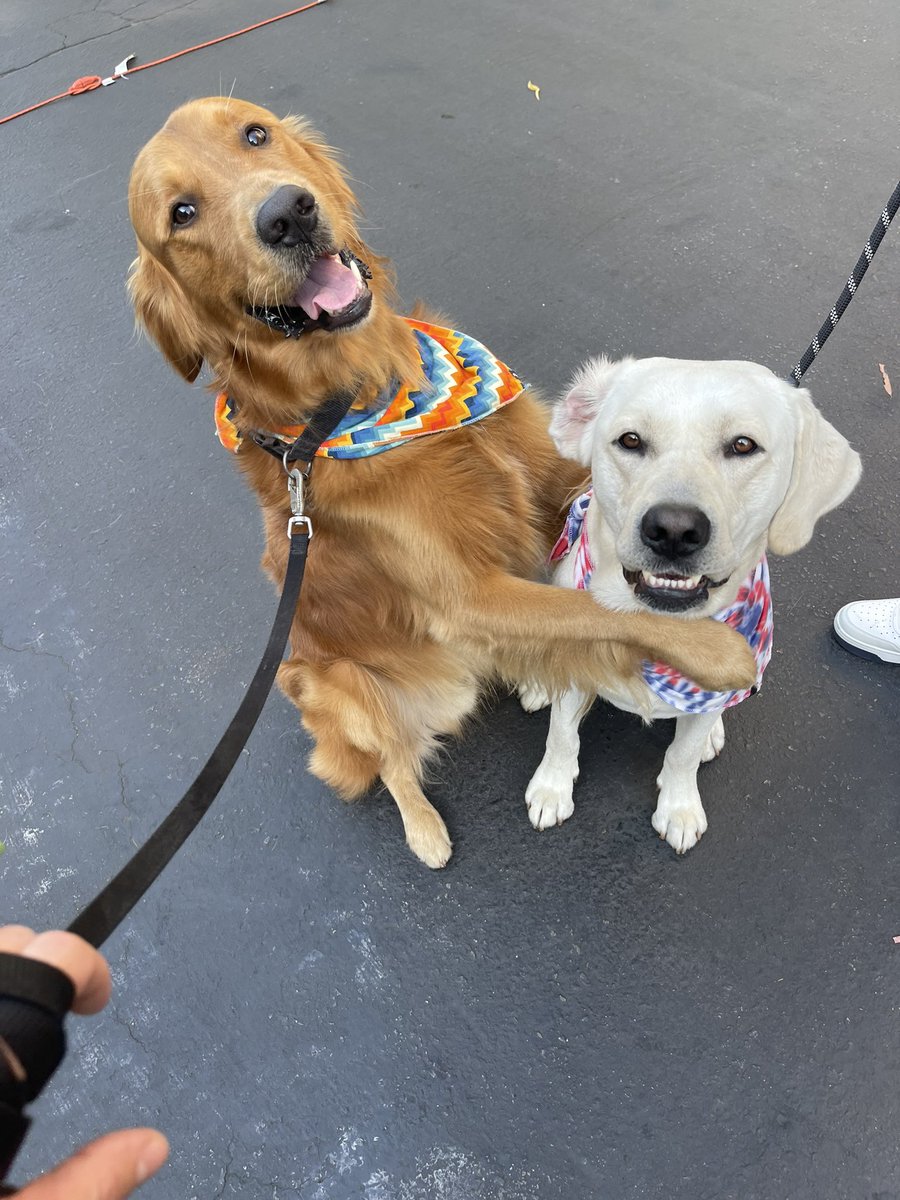 Team #tremma has arrived! 🥳 <a href="/TrevDon/">Trevor Donovan</a> #dwts