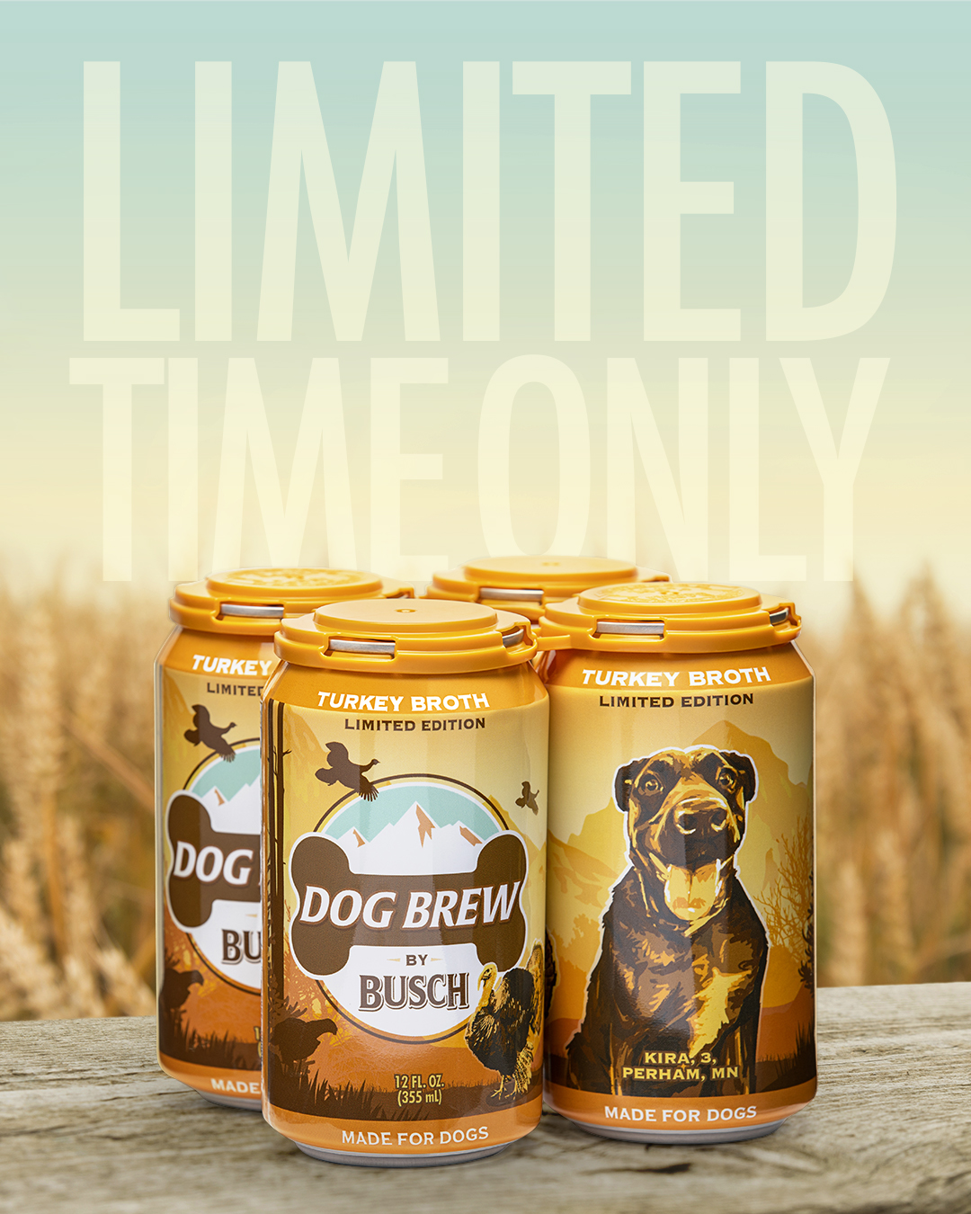 Is There Beer For Dogs