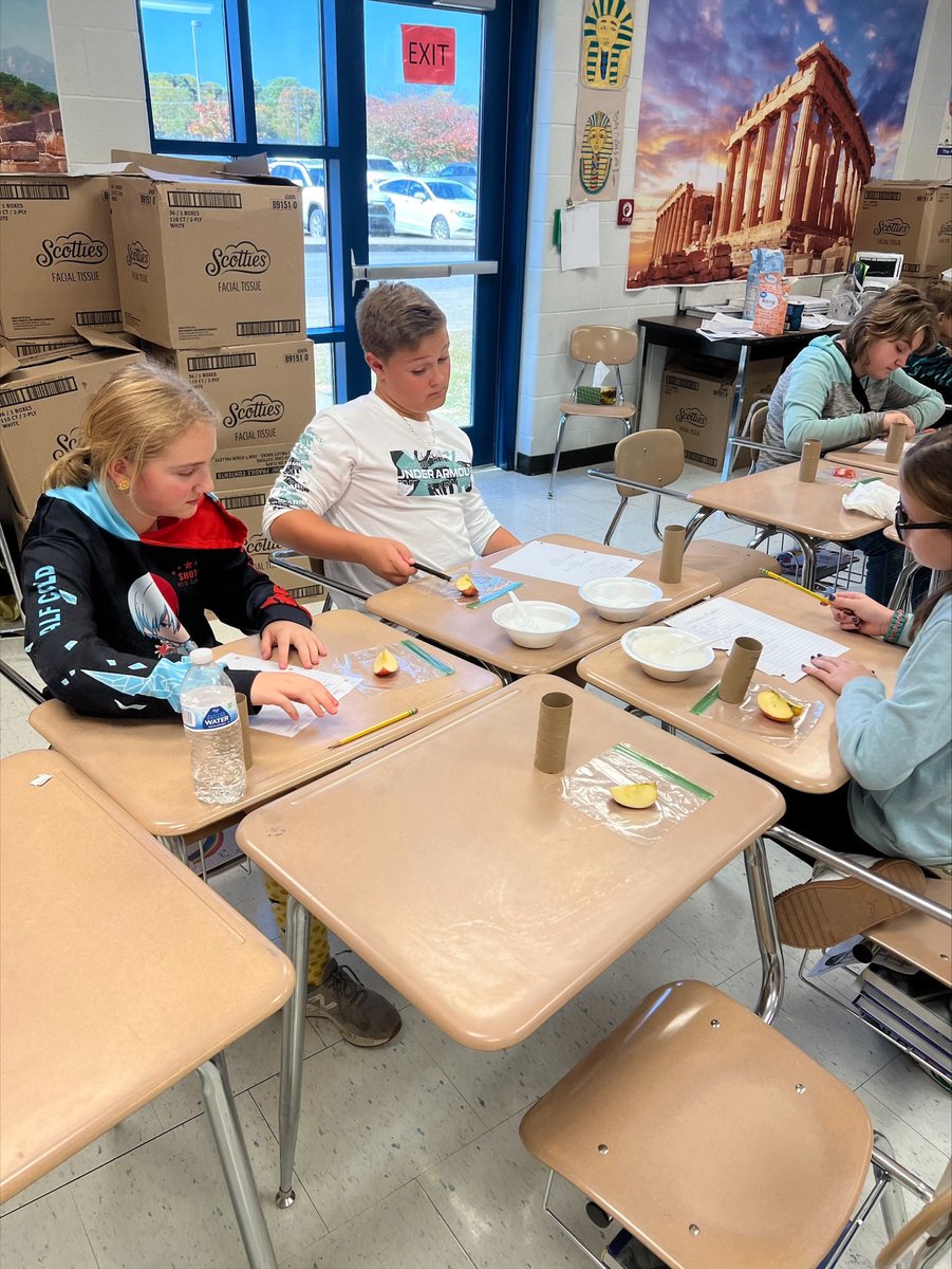 WHMS Steam tweet media