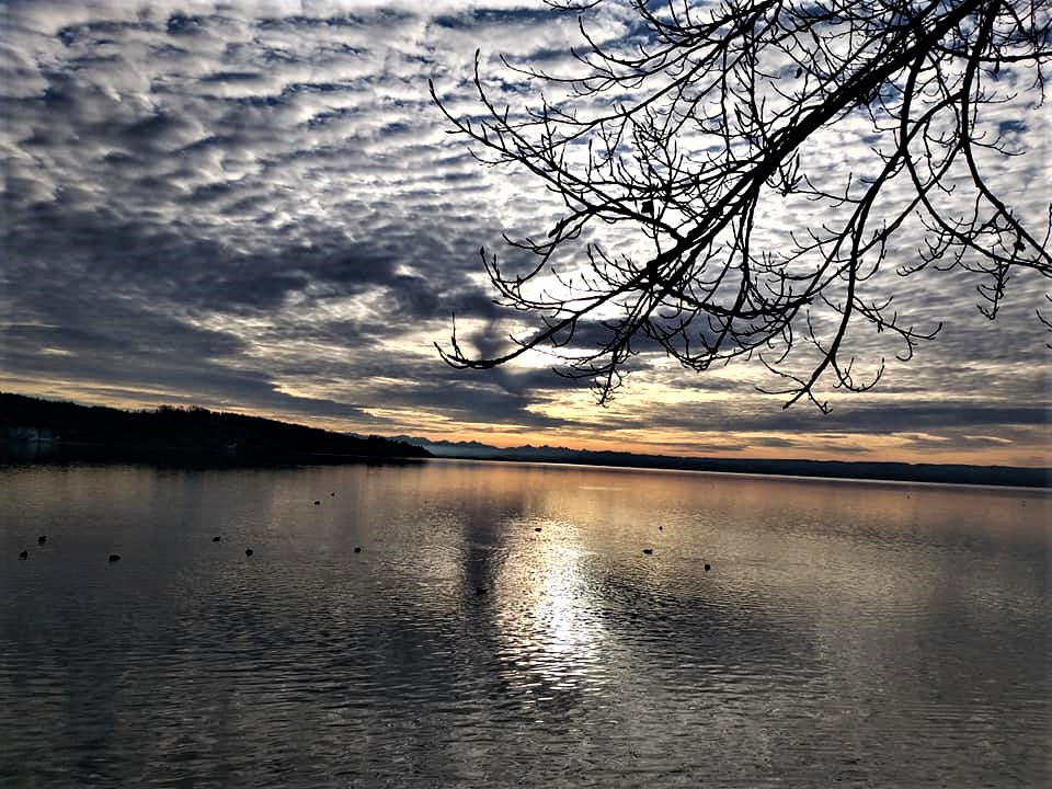 Greenisamissio1's tweet image. Evening, time to let go, relax and regenerate. In this spirit, I wish my beloved and much appreciated fellow inhabitants of planet Earth a beautiful good evening and a blessed night. ❤️💙💚🍀🌲🌳🌱🌿☘️💚