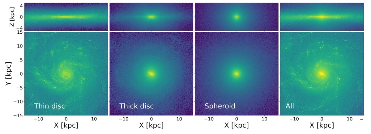 Excited to share our latest led by the great Anna Yu <a href="/AstroBananna/">Anna Yu</a> - Born this way: thin disc, thick disc, &amp; isotropic spheroid formation in FIRE2 MW simulations
stars w disc-like or spheroid-like orbits today were born that way <a href="/alexbgurvich/">Dr. Alex Gurvich</a> <a href="/ZachHafen/">Zachary Hafen</a> 
arxiv.org/abs/2210.03845
