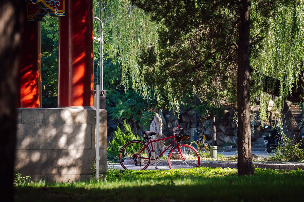 PKU1898's tweet photo. As the refreshing breezes swing from the ancient stone walls to the vintage red pillars, #PKUCampus is bathed in the warm glow of the autumn sun.
(Photos: Zhu Chengxuan, Deng Sirui) https://t.co/1heWuf2JMM