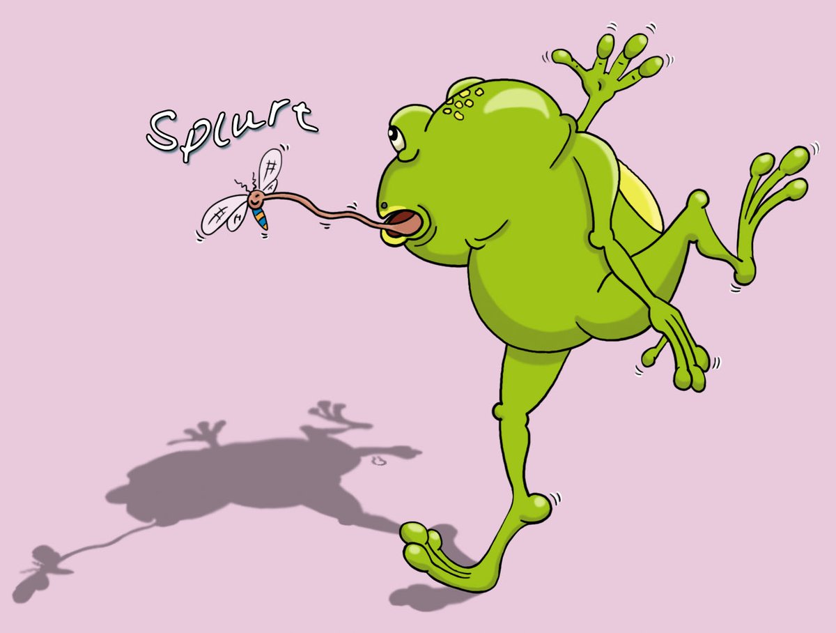 jocanho's tweet photo. Aha! another bug in the tummy. As the BIG SLEEP creeps closer, there is no time to waste. SPLURT!

#ChildrensBooks #ChildrensBook #picturebook #picturebooks #childrenbooks #childrensbooks #illustration #Photoshop #digitalart #Bugs #Toad #literaryagent #LiteraryAgents https://t.co/cagzeoTxhL