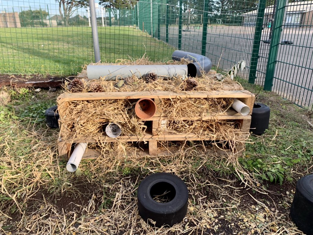 MissHenryMA's tweet photo. We gave our bugs in Reception a home today and built them their very own Bug Hotel!! 🏨 🐛 🐞 🐜 Thank you so much to all of the parents for your  kind donations to make this possible! @ManorsidePoole https://t.co/YpZd8Uj1Nf