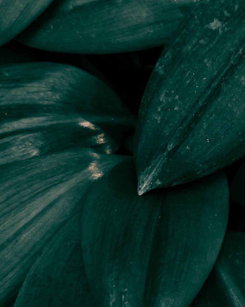 didssph's tweet photo. freshy fresh mobile photos of my fav subject https://t.co/4yKuUZIldV