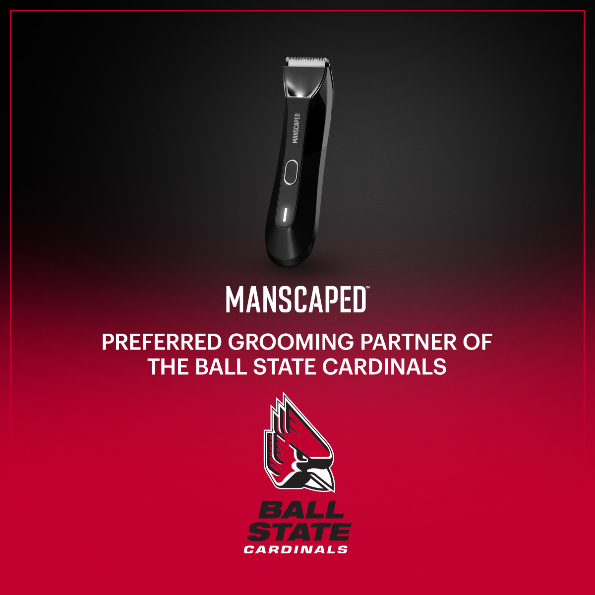 MANSCAPED tweet media