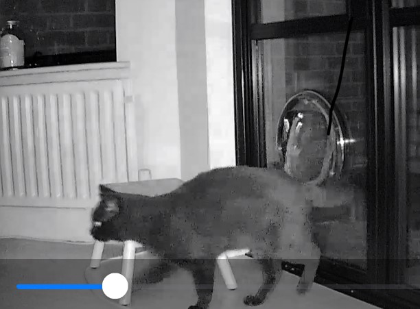 bromleycats's tweet image. Lake Avenue - #BR1 
Hungry, dusky black or very dark grey male cat has been entering a person's property in the early hours of the morning helping itself to her cat's food! 
If you recognise him please contact us.
#Bromley #CatsProtection