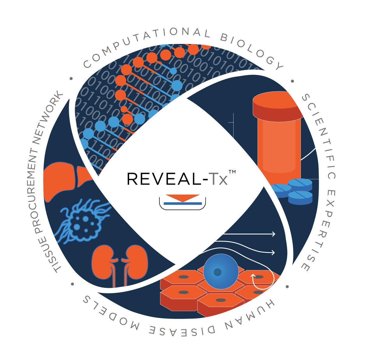 Our team of more than 30 scientists is making rapid progress in identifying drug targets and potential candidates to treat rare diseases with high unmet medical need.  Read about our REVEAL-Tx advantage! hemoshear.com/ht-admin/resou…