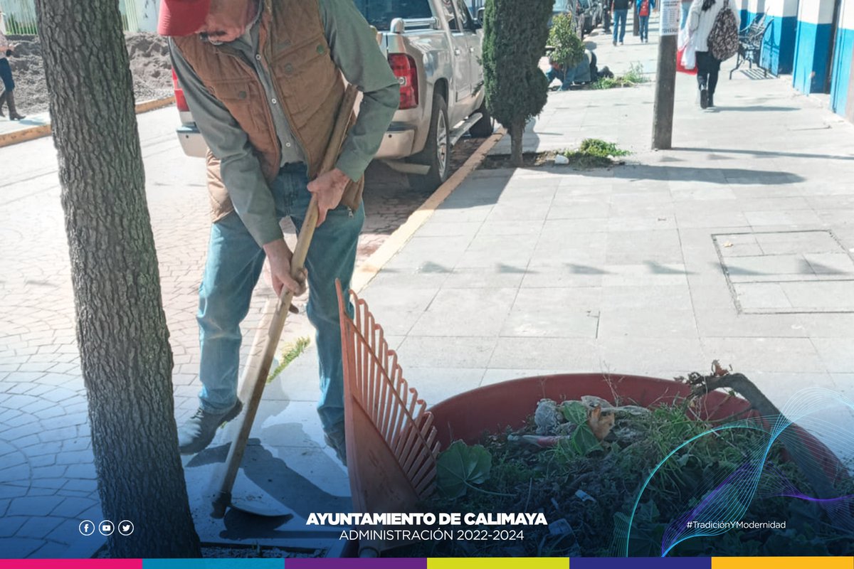 🔵 Como parte del #mantenimiento de las áreas verdes 🌿🌱 llevamos a cabo la poda y limpieza de los jardines de la calle Juárez en la Cabecera Municipal.
#TradiciónYModernidad