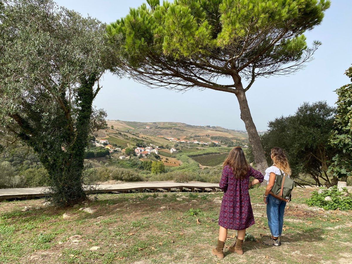 💡O IPDT está a desenvolver o Plano Estratégico de Desenvolvimento e Marketing Turístico para Torres Vedras (@TorresVedrasCM), que tem como objetivo central posicionar o destino de forma diferenciada, no mercado nacional e internacional. 

#ipdt #estrategiaturismo #torresvedras