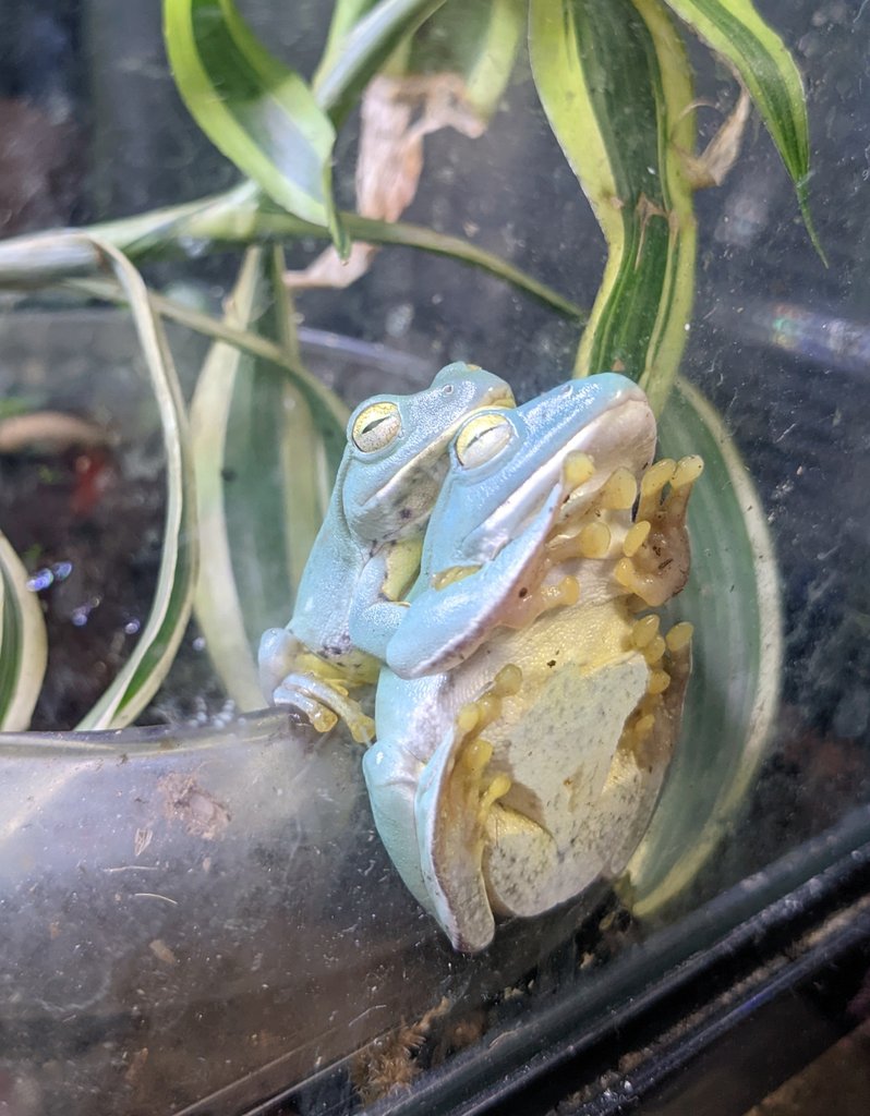 ほっこり😊
