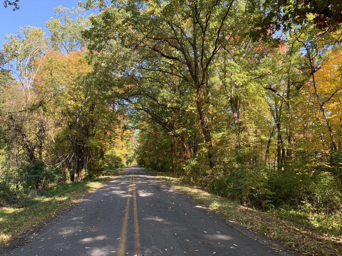 Barb Byrum tweet media