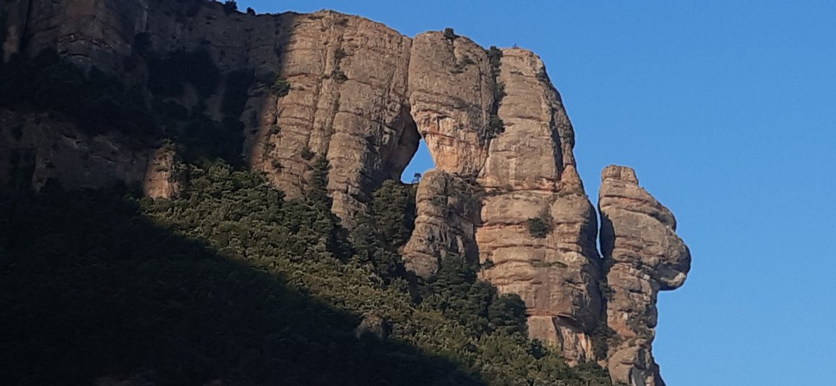 frederic fosalba julià tweet media