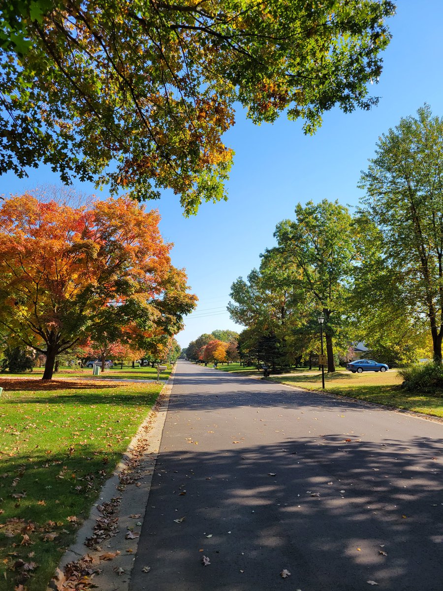 Molly Polverento tweet media