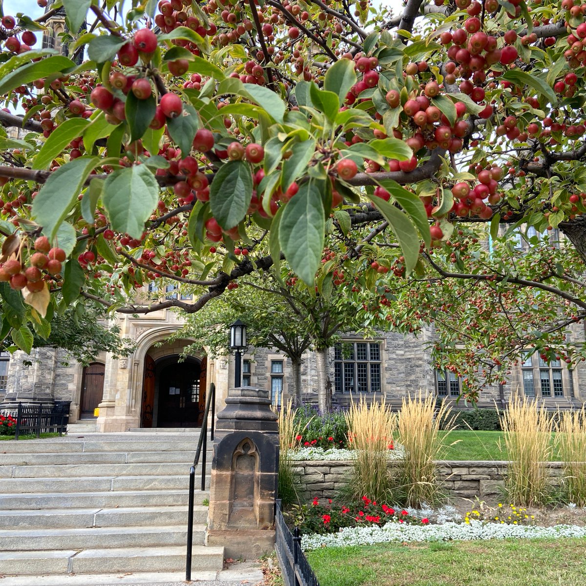 Trinity_College's tweet photo. #FallFeelings at Trinity🍂
#SpecialSpacesatTrinity https://t.co/Oc6g1oIa7p
