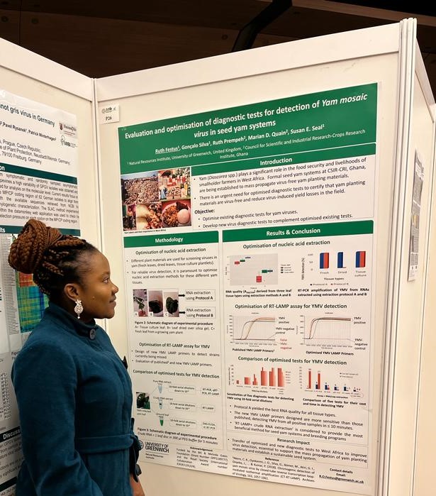 Ruth Festus (@ruthfestus4) on Twitter photo My poster at the <a href="/AABiologists/">AAB @aabiologists.bsky.social</a> International Advances in Plant Virology #IAPV22 conference. An optimised LAMP assay to detect YMV and support seed yam systems at CSIR-CRI, Ghana <a href="/Csir_Crops/">CSIR-Crops Research Institute</a> @goncalodrs <a href="/NRInstitute/">NRI</a> <a href="/NRIPSociety/">NRIPSociety</a> <a href="/UoG_DoctoralSoc/">UoG Doctoral Society</a> <a href="/OptiGeneLtd/">OptiGene Limited</a> My poster at the <a href="/AABiologists/">AAB @aabiologists.bsky.social</a> International Advances in Plant Virology #IAPV22 conference. An optimised LAMP assay to detect YMV and support seed yam systems at CSIR-CRI, Ghana <a href="/Csir_Crops/">CSIR-Crops Research Institute</a> @goncalodrs <a href="/NRInstitute/">NRI</a> <a href="/NRIPSociety/">NRIPSociety</a> <a href="/UoG_DoctoralSoc/">UoG Doctoral Society</a> <a href="/OptiGeneLtd/">OptiGene Limited</a>