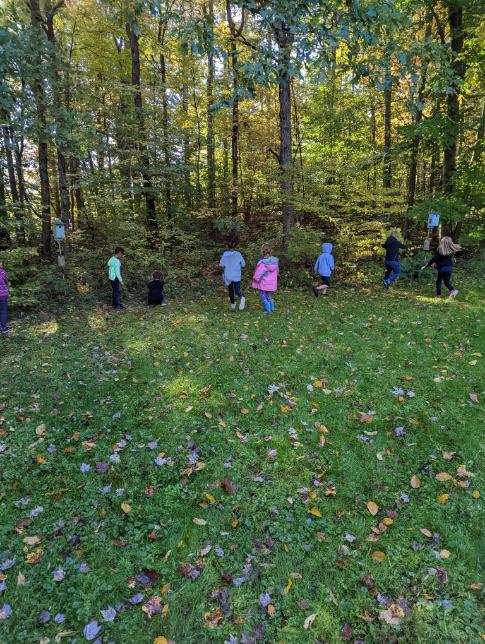 DonnaSteff's tweet photo. Hopewell’s 1st grade Ss @MRElem visited the Wildflower Reserve at Raccoon Creek State Park in Clinton, PA today. We loved learning about nature and spending time outdoors! #VikingPRIDE https://t.co/fRQ4aRuAe3