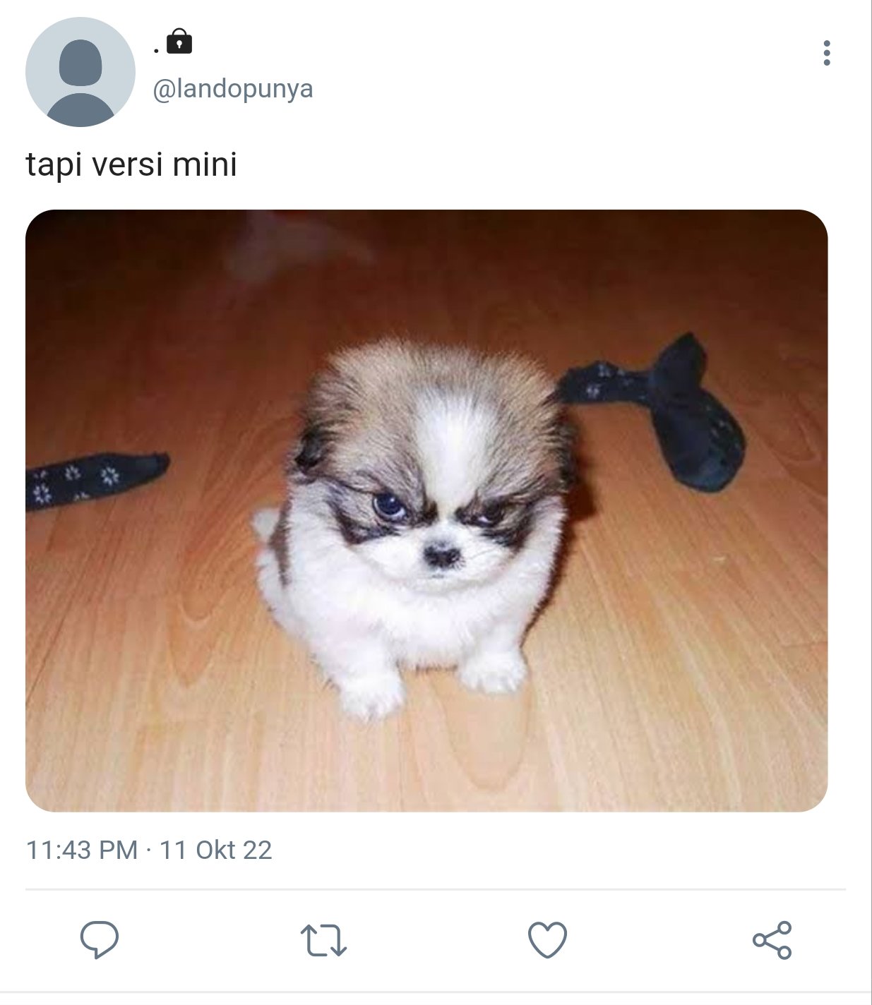 Это Пушок он Сокрушитель вселенных