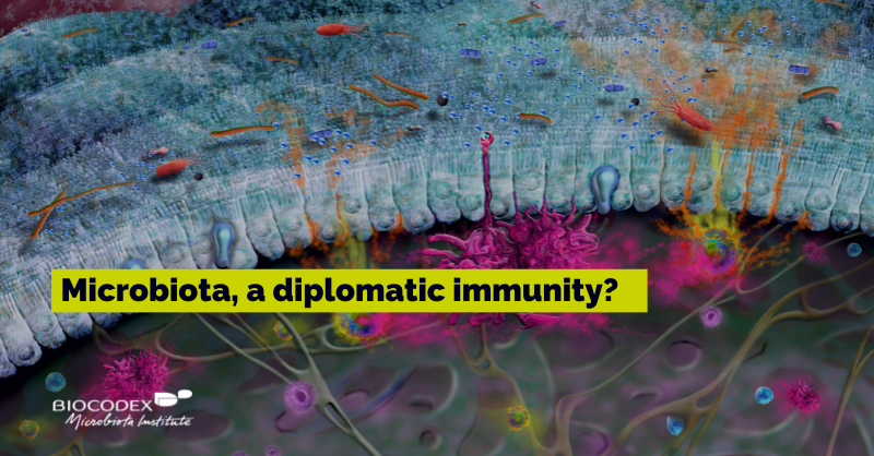 Microbiota_Inst's tweet photo. [Immunity] Dear #HCPs, do you know that the #First1000DaysOfLife is the critical window of #EarlyChildhood growth &amp; development?

In our #ThematicFolder, discover the complex interplay between #microbiota &amp; #immunity. 
👉#IntestinalImmunity
👉#RespiratoryImmunity
👉#SkinImmunity