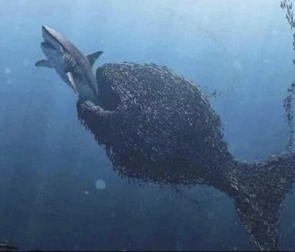 Birlikte çok güçlüyüz bu gücün farkında olun ! #Yzncüyıla100bnogrtmn