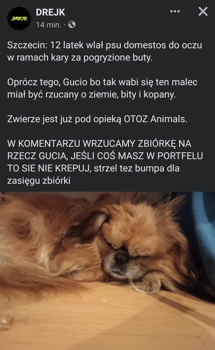 givemethisjuice's tweet photo. dosłownie sie poryczalam

w komentarzu link do zbiórki https://t.co/XqlGRER4KE