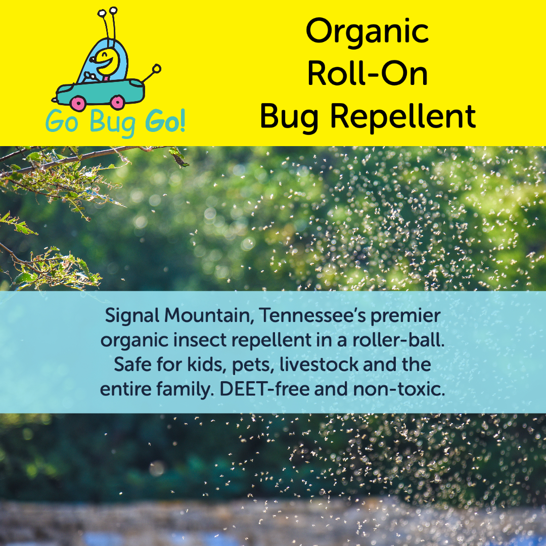 GoBugGo1 tweet picture