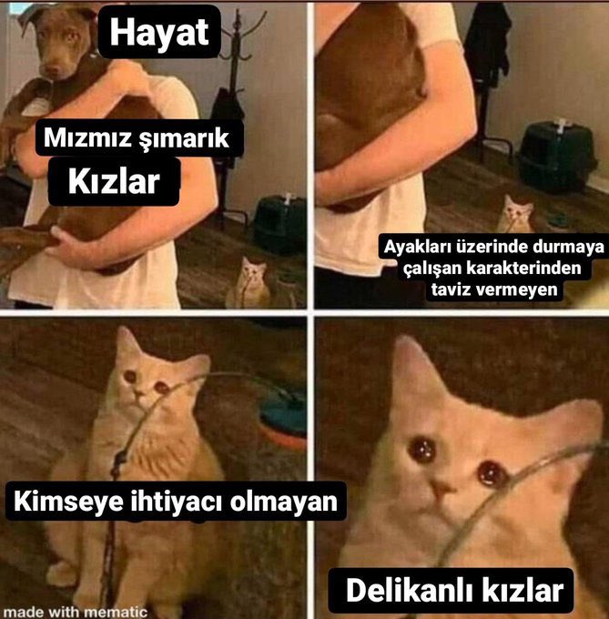 , (@nolurbisev) on Twitter photo 