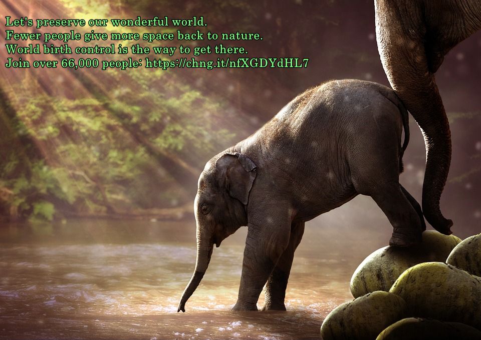 Achim1106's tweet photo. Let's preserve our wonderful world. Fewer people give more space back to nature. World birth control is the way to get there. Join over 66,000 people: https://t.co/w7rFF6bnXf https://t.co/OwnCtQcxDF