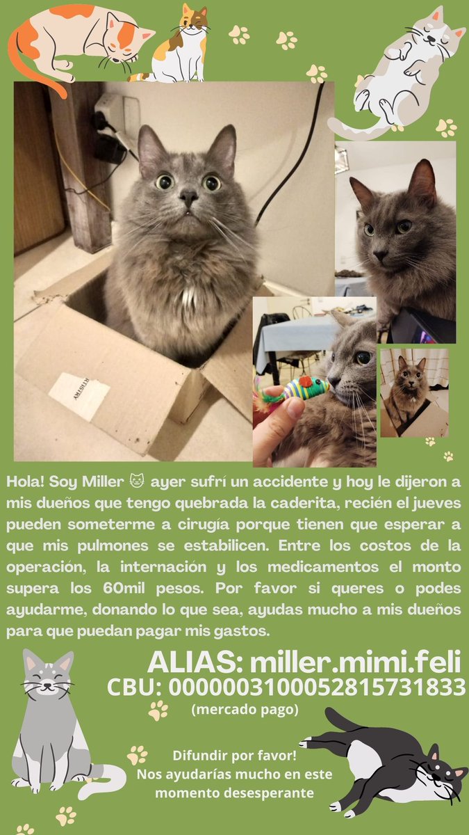 agusmoro_'s tweet photo. Por favor difundir 🙏

@vivirenuevacba https://t.co/riCKDUYsUb