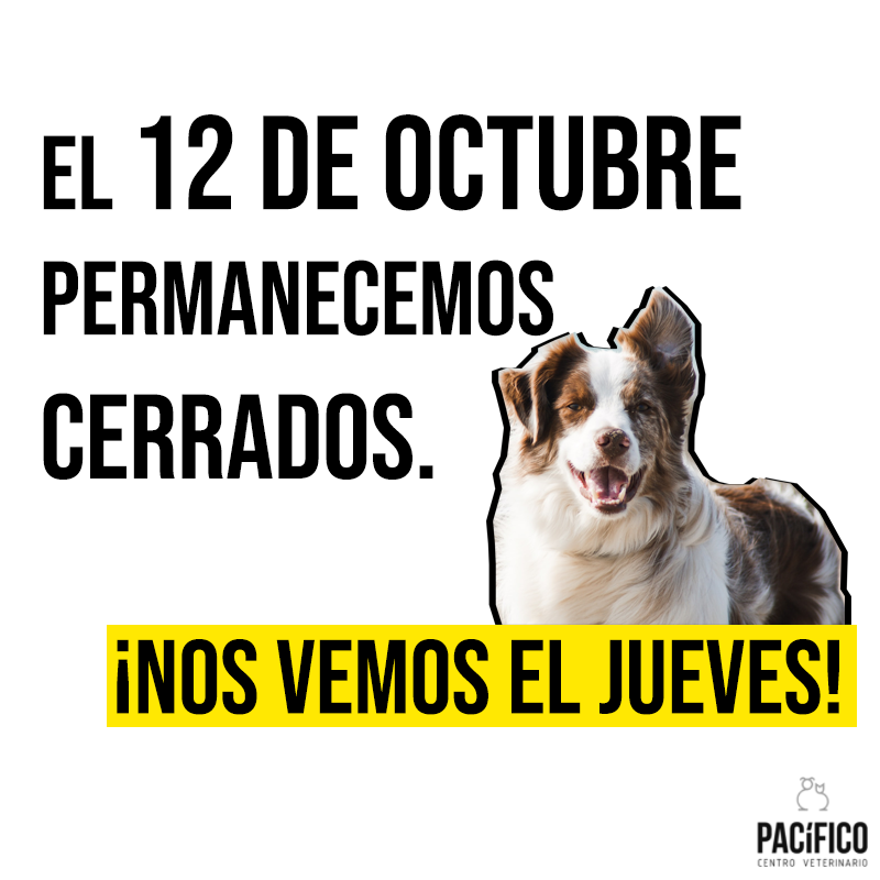 CVPACÍFICO tweet media