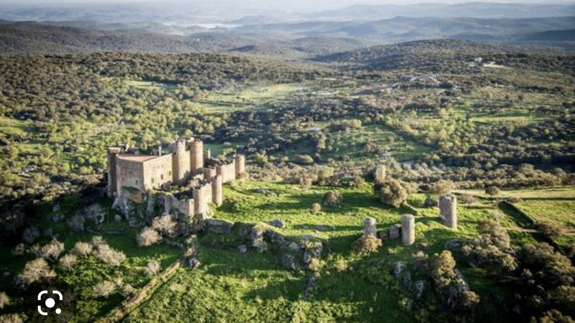 Ariel 🟢⚪️⚫️ tweet media