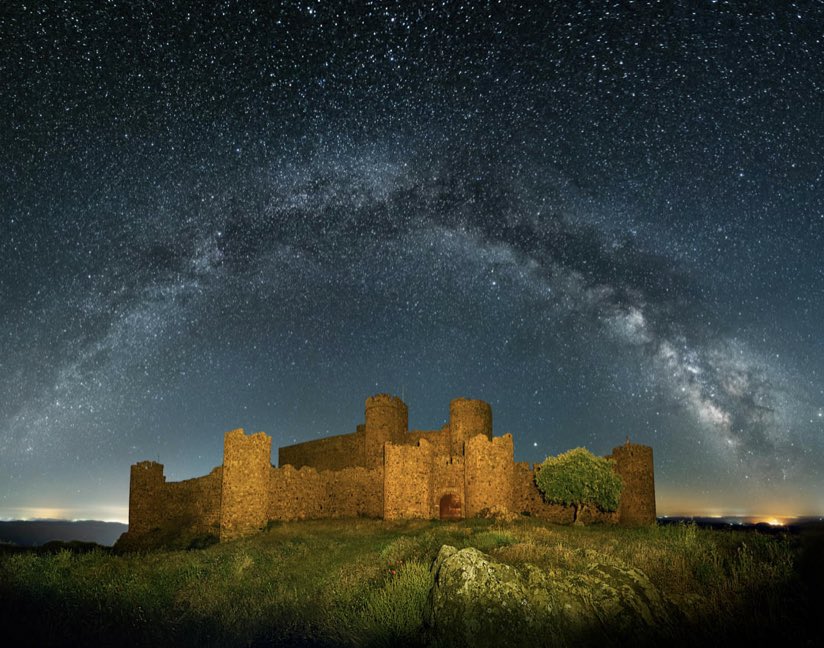 Ariel 🟢⚪️⚫️ tweet media