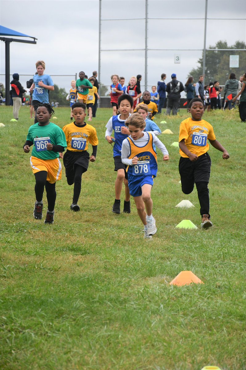 DciaaSports's tweet photo. Some of the action from our last elementary and middle school cross country meet of the regular season. 

Their championship meet is coming up on October 25. Details to follow https://t.co/CkxawnxcoR